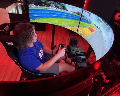 Sim Racing Rig